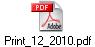 Print_12_2010.pdf